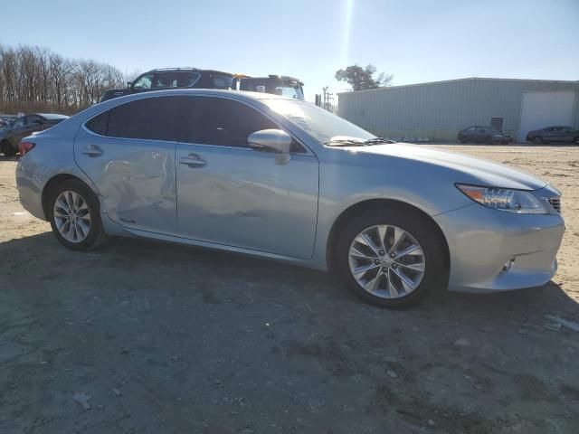 2013 Lexus ES 300H