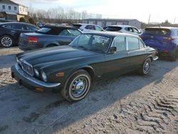 Vehiculos salvage en venta de Copart North Billerica, MA: 1979 Jaguar XJ6 L