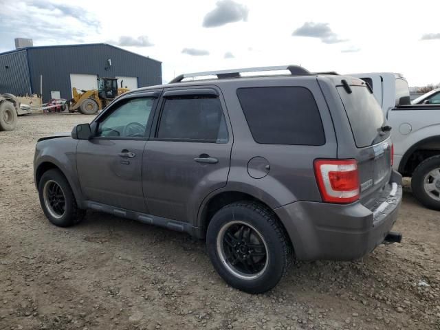 2011 Ford Escape Limited