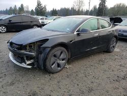 Salvage cars for sale at Graham, WA auction: 2019 Tesla Model 3