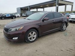 Salvage cars for sale at West Palm Beach, FL auction: 2014 KIA Optima LX