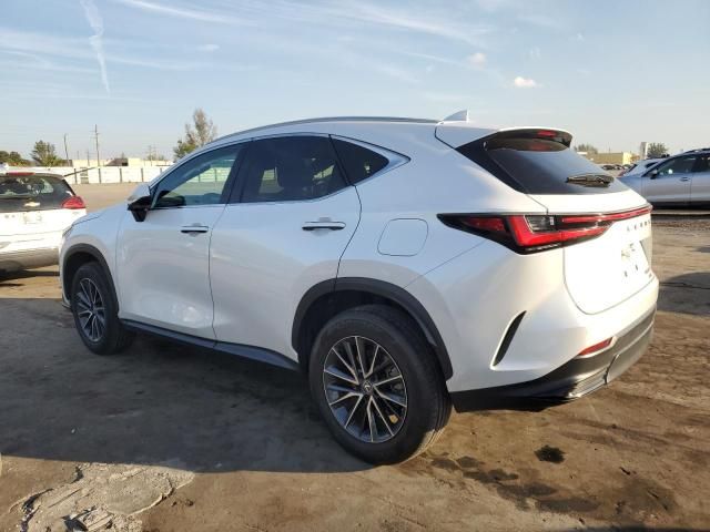 2022 Lexus NX 350