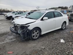 Toyota Corolla Base salvage cars for sale: 2011 Toyota Corolla Base