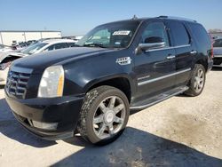 Cadillac salvage cars for sale: 2010 Cadillac Escalade