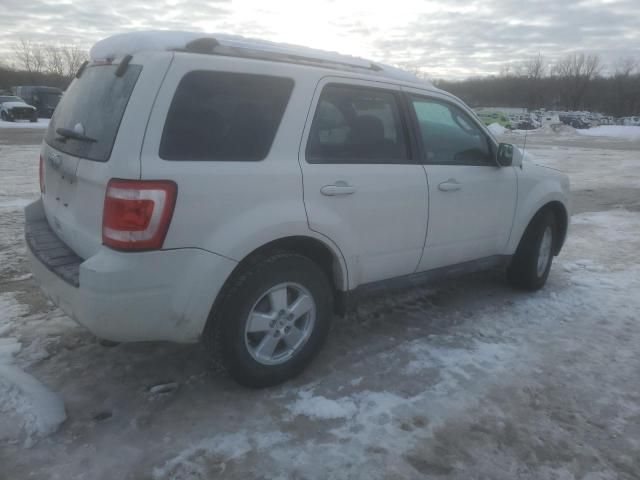 2011 Ford Escape Limited