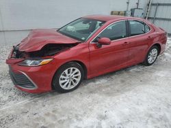 Salvage cars for sale at Columbus, OH auction: 2024 Toyota Camry LE