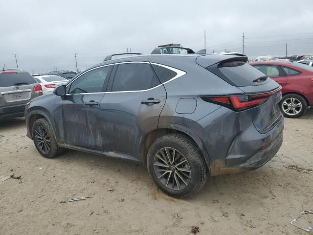 2022 Lexus NX 350