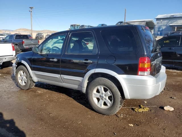 2007 Ford Escape XLT