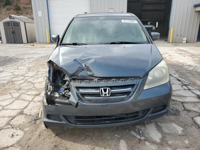 2005 Honda Odyssey EXL