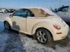 2006 Volkswagen New Beetle Convertible Option Package 2