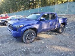 Salvage cars for sale at Graham, WA auction: 2024 Toyota Tacoma Double Cab