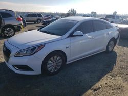 2017 Hyundai Sonata Hybrid en venta en Antelope, CA