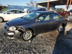 Salvage cars for sale at Riverview, FL auction: 2010 Toyota Corolla Base