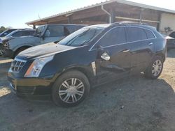 Salvage cars for sale at Tanner, AL auction: 2011 Cadillac SRX