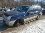 2004 Mercury Mountaineer