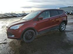 2014 Ford Escape SE en venta en Rocky View County, AB