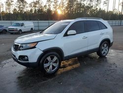 Salvage cars for sale at Harleyville, SC auction: 2013 KIA Sorento EX