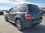 2008 Ford Escape XLT