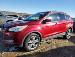 Ford Escape se salvage cars for sale: 2013 Ford Escape SE