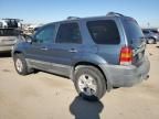 2005 Ford Escape XLT