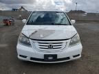 2008 Honda Odyssey EXL