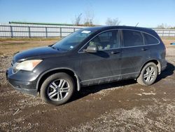 Salvage cars for sale from Copart Houston, TX: 2010 Honda CR-V EXL