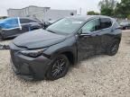 2024 Lexus NX 250 Base