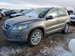 2011 Volkswagen Tiguan S en venta en Brighton, CO