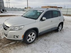 Salvage cars for sale at Bismarck, ND auction: 2010 Volkswagen Tiguan SE