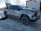 2023 Chevrolet Silverado K1500 Trail Boss Custom