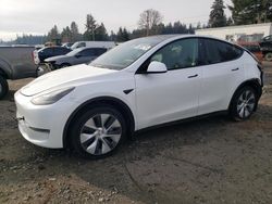 2023 Tesla Model Y en venta en Graham, WA