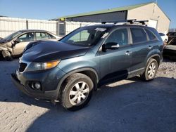 Salvage cars for sale from Copart Lawrenceburg, KY: 2011 KIA Sorento Base