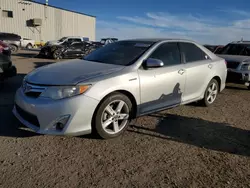 Vehiculos salvage en venta de Copart Tucson, AZ: 2012 Toyota Camry Hybrid