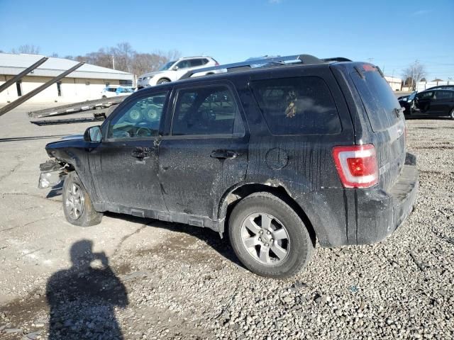 2011 Ford Escape Limited