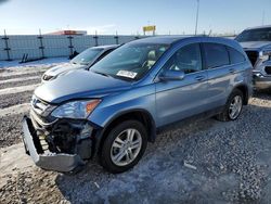 2010 Honda CR-V EXL en venta en Cahokia Heights, IL