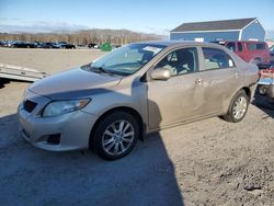 Salvage cars for sale from Copart Assonet, MA: 2009 Toyota Corolla Base