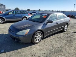 Honda salvage cars for sale: 2005 Honda Accord EX