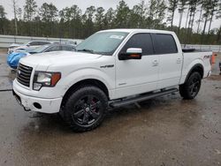 Salvage cars for sale at Harleyville, SC auction: 2012 Ford F150 Supercrew