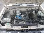 1986 Nissan D21 Short BED