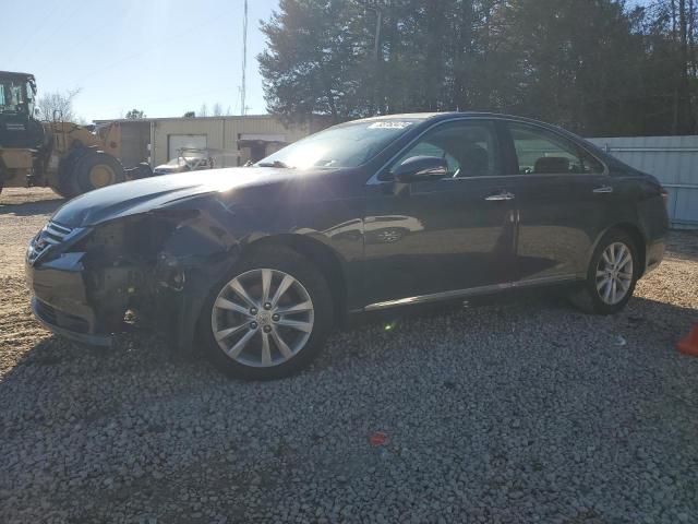 2010 Lexus ES 350