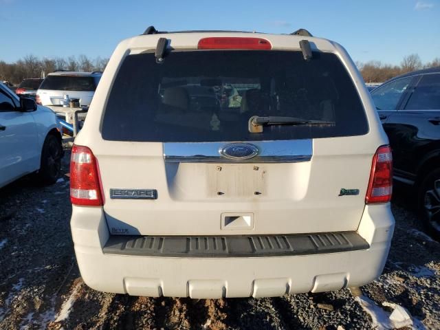 2010 Ford Escape Limited