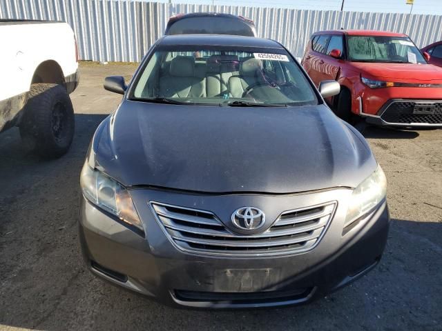 2009 Toyota Camry Hybrid