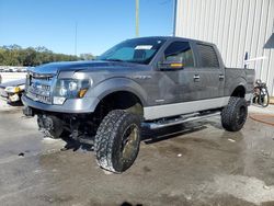 Vehiculos salvage en venta de Copart Apopka, FL: 2014 Ford F150 Supercrew