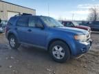 2009 Ford Escape XLT