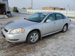 Carros salvage a la venta en subasta: 2009 Chevrolet Impala 1LT