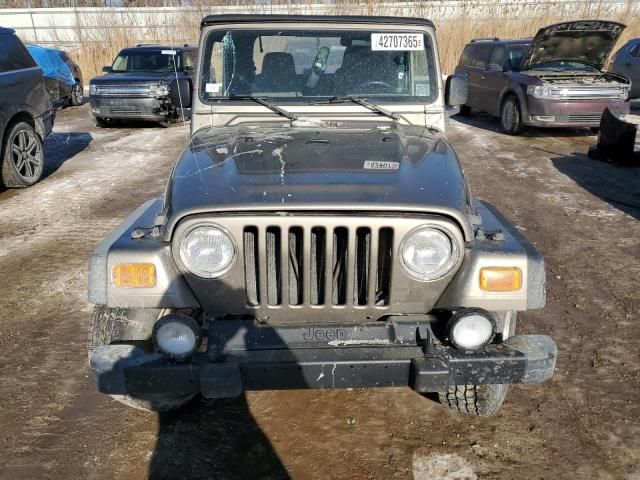 2003 Jeep Wrangler / TJ Sport