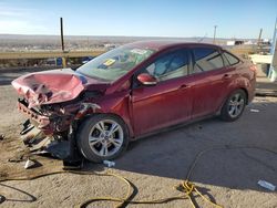 Salvage cars for sale at Albuquerque, NM auction: 2014 Ford Focus SE