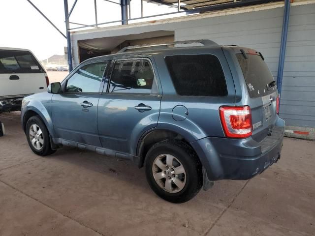 2011 Ford Escape Limited