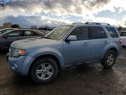 Ford Escape salvage cars for sale: 2008 Ford Escape HEV