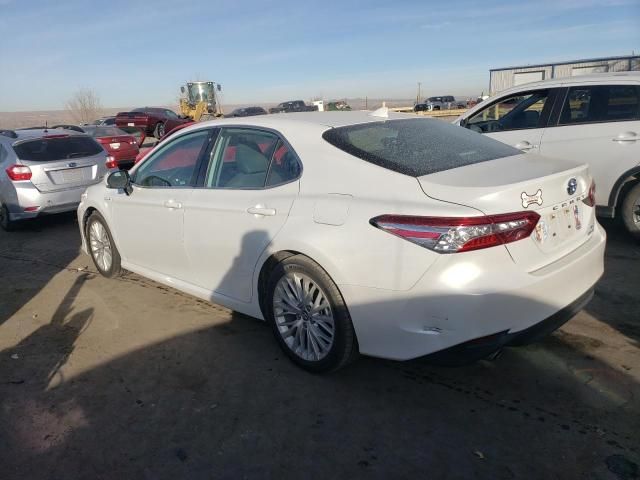 2019 Toyota Camry Hybrid